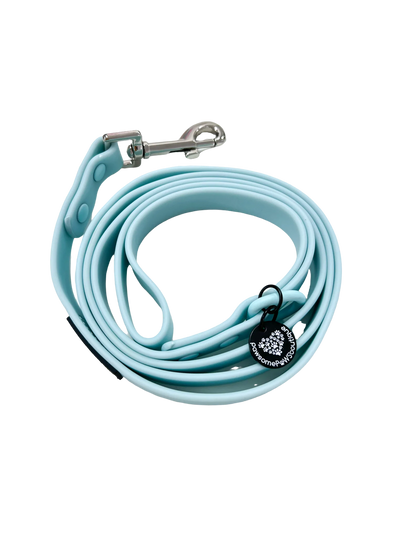 Pawsome Paws Boutique Waterproof Lead - Blue - Silver Hardware