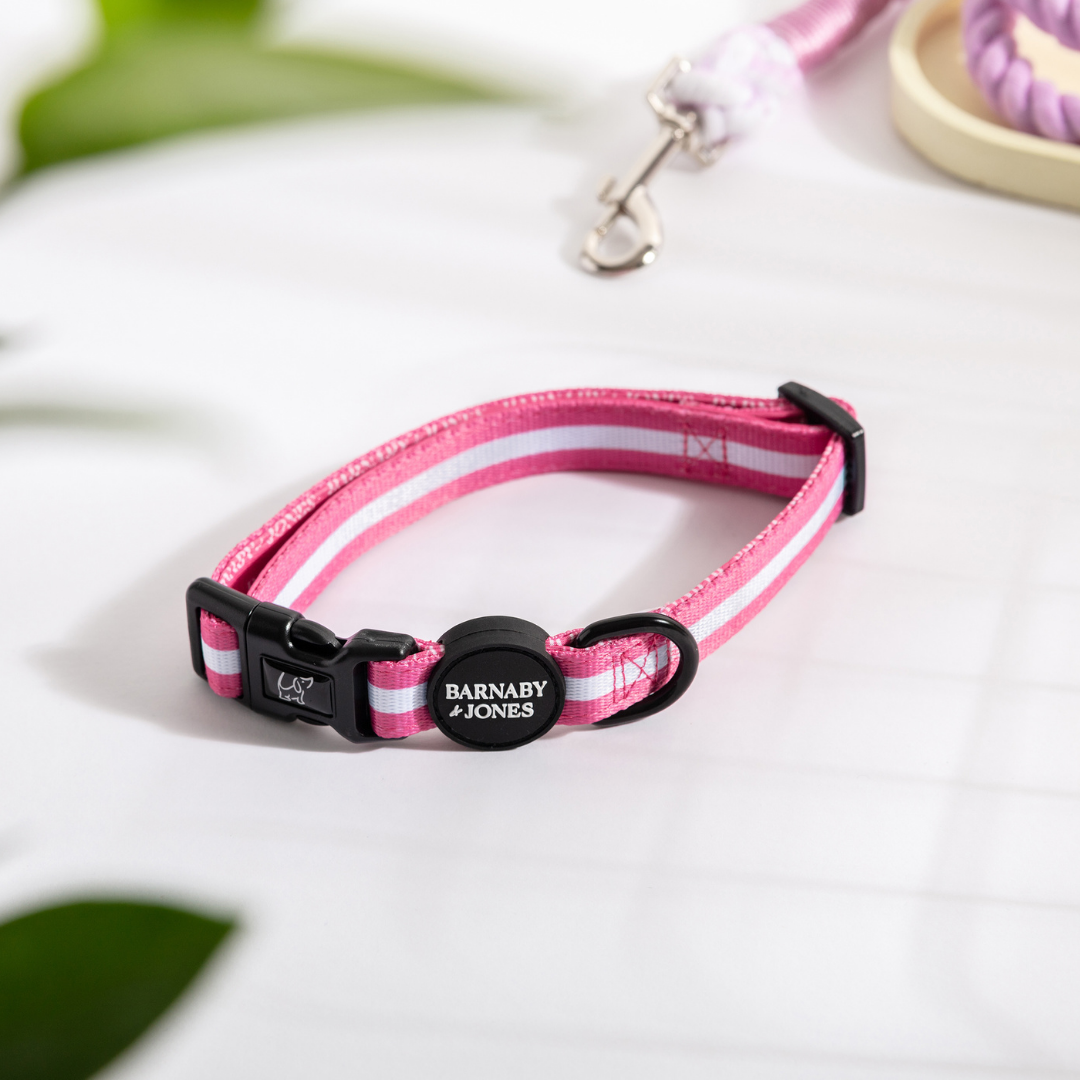 Barnaby & Jones The Colour Edit Pink Striped Dog Collar