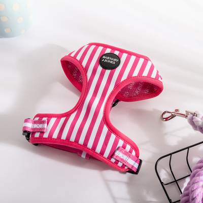 Barnaby & Jones The Colour Edit Pink Striped Dog Harness