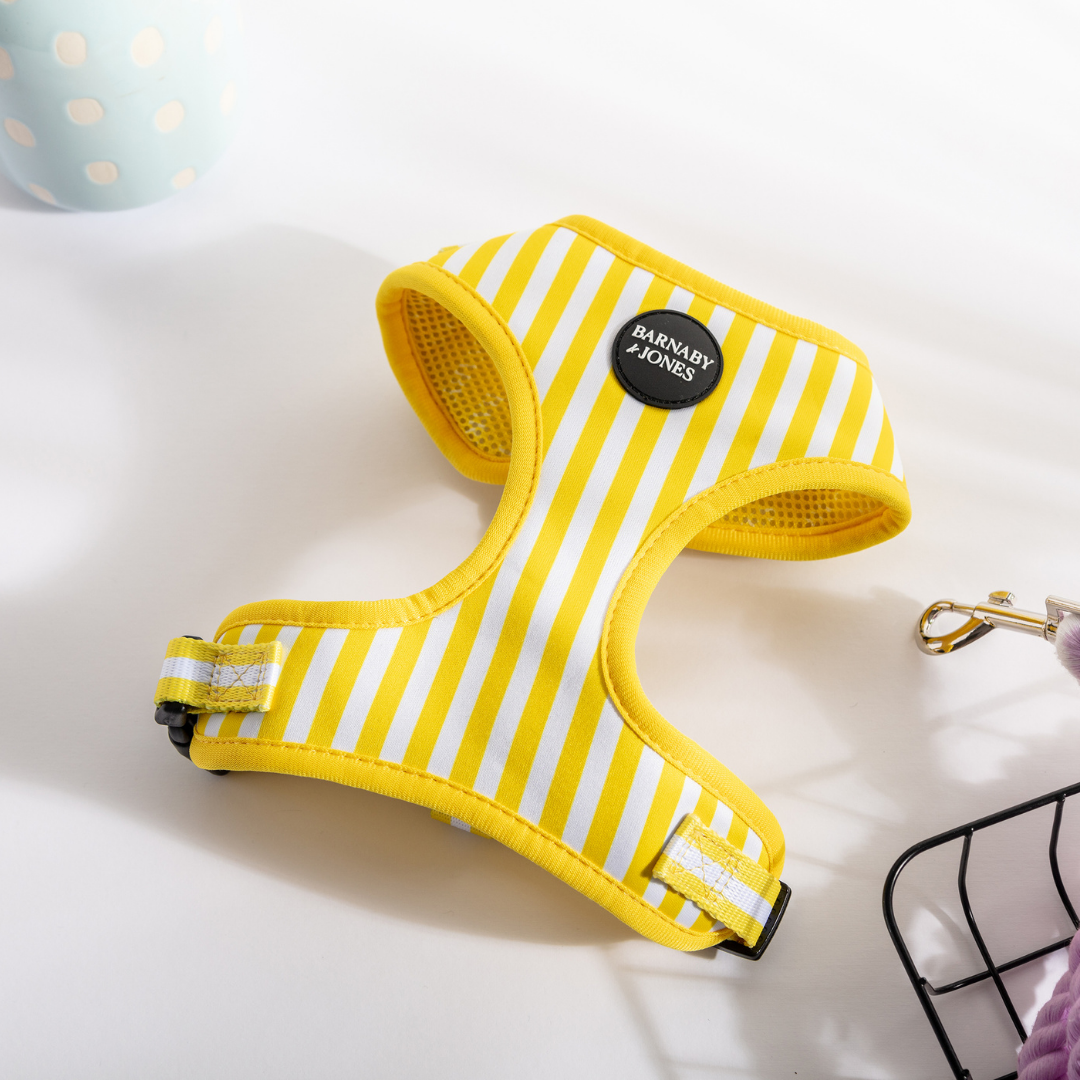 Barnaby & Jones The Colour Edit Yellow Striped Dog Harness – Oh Doggy