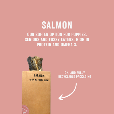 The Canine Menu - Salmon Dog Chew Treat