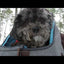 Kurgo G-train K9 Rucksack for Small Dogs