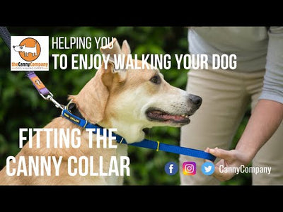 Canny No-Pull Dog Collar Black